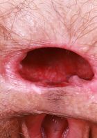 ATK Petites: Sia Wood (Sia Wood is looking sleek and sexy)