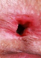 Sia Wood Skirt Stripping, Sia Wood (sia004) ATK Natural & Hairy: Sia Wood (Sia Wood Skirt Stripping)