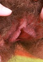 Sia Wood is the country gal next door, Sia Wood (sia004) ATK Natural & Hairy: Sia Wood (Sia Wood is the country gal next door)