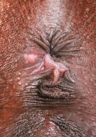 Sizi Sev Panties Off Exotic Pussy Spreading, Sizi Sev (siz001) ATK Exotics: Sizi Sev (Sizi Sev Panties Off Exotic Pussy Spreading)