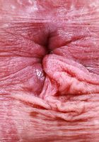 Venus Vixen Footfetish & Skirt Tease, Venus Vixen (ven021) ATK Galleria: Venus Vixen (Venus Vixen Footfetish & Skirt Tease)