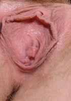 Vestacia JonQuil from ATK Natural & Hairy