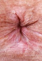 Violet Viper from ATK Natural & Hairy