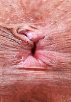 Zoey Jpeg from ATK Natural & Hairy